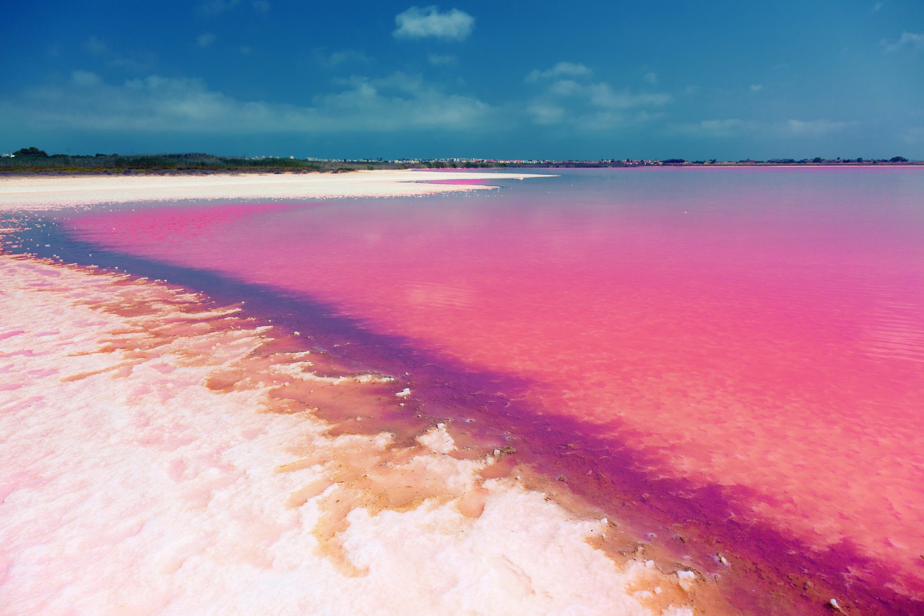 Así es la laguna rosa de Torrevieja: un fenómeno nat...