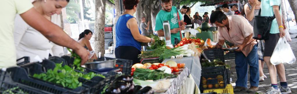 La agricultura ecológica crece un 15% y factura 200 millones, la mitad de la Comunidad