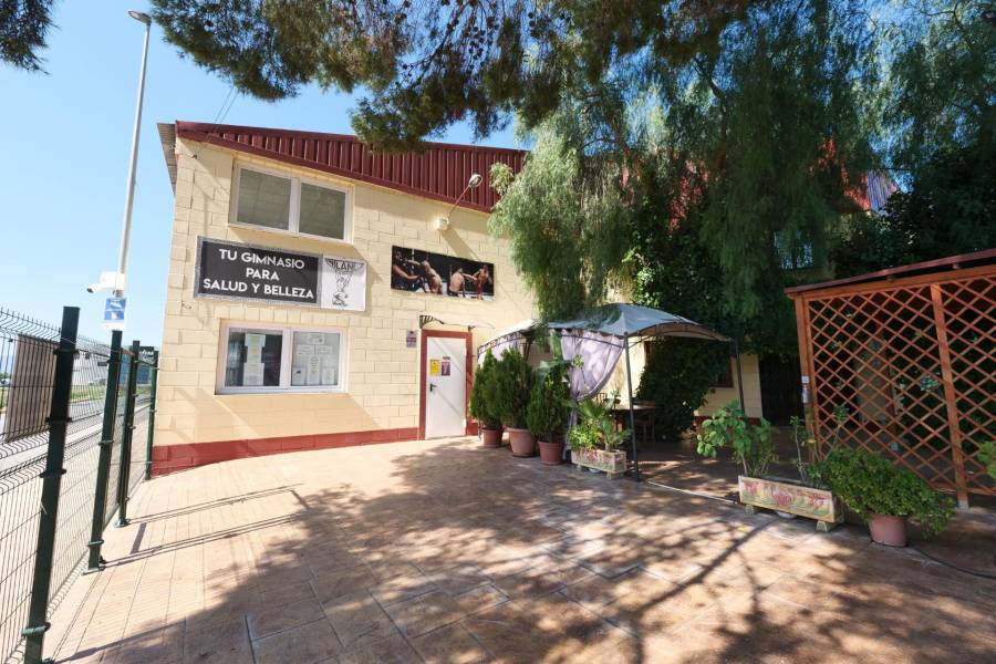 Vente - Local commercial - Almoradí - Almoradi