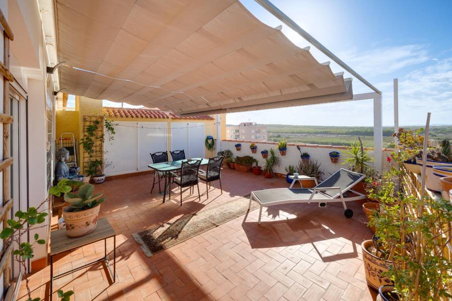 Vente - Penthouse - La Mata - Torrevieja