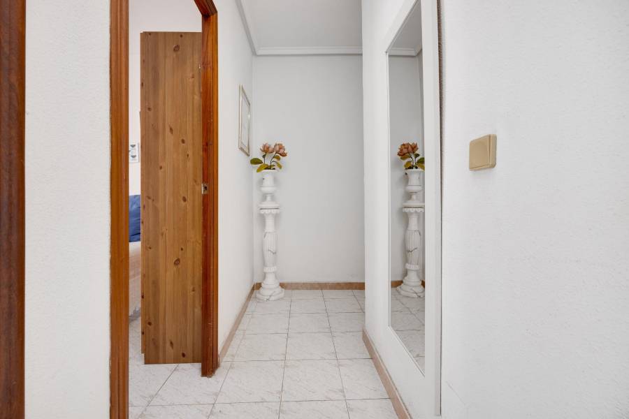 Vente - Appartement - Estacion de autobuses - Torrevieja