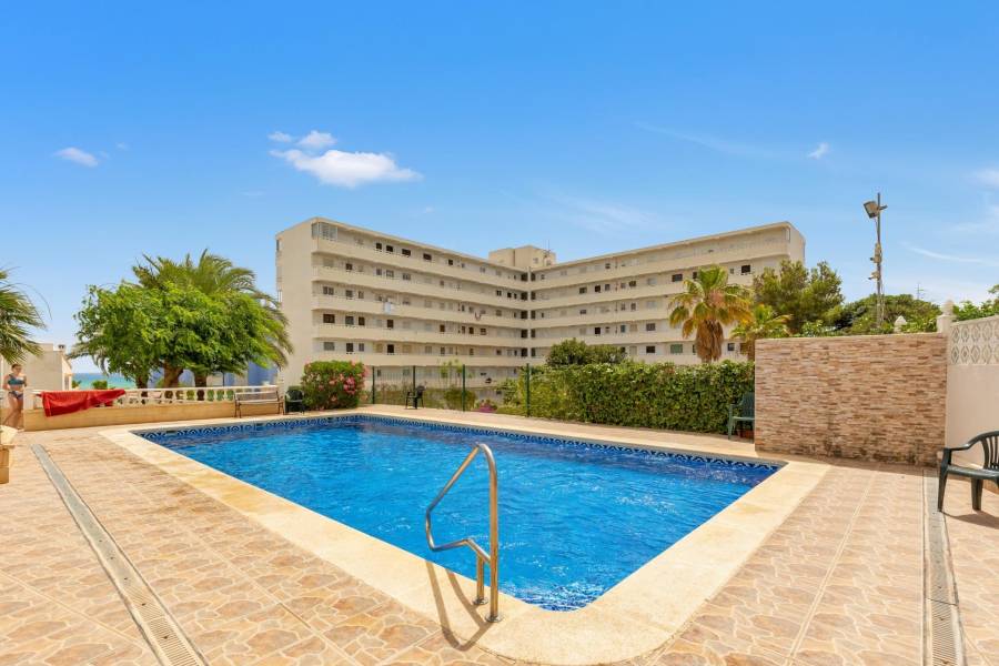 Vente - Penthouse Duplex - Torre la mata - Torrevieja