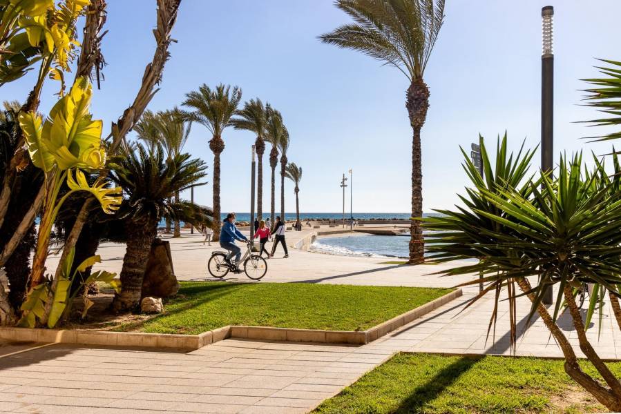 Venta - Apartamento - Nueva Torrevieja - Torrevieja