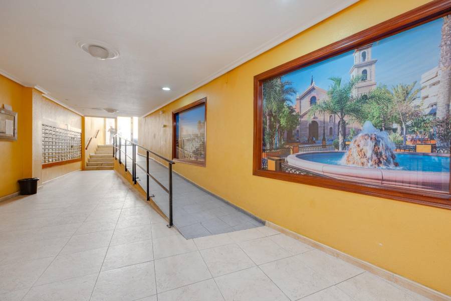 Venta - Apartamento - Centro - Torrevieja