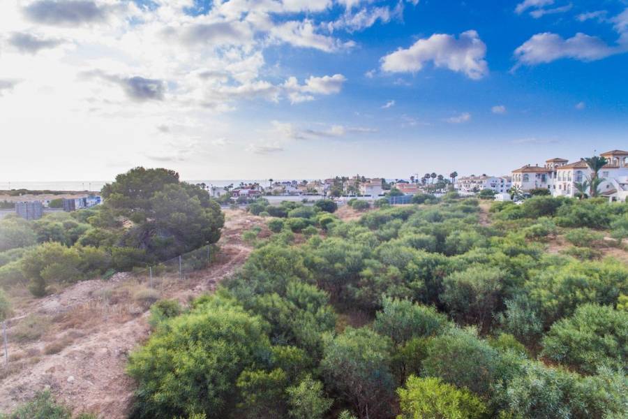 Venta - Apartamento - Playa Flamenca - Orihuela Costa