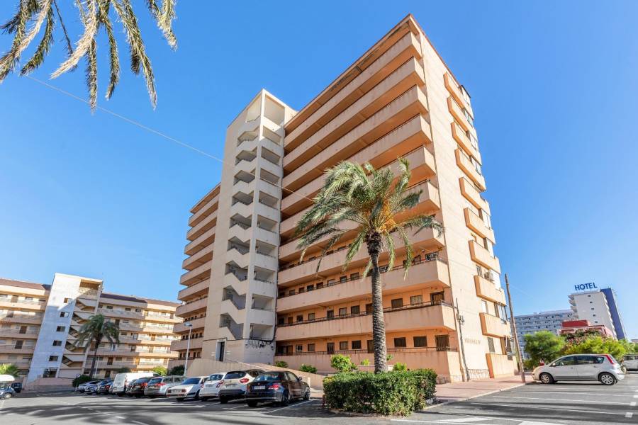 Sale - Apartment - Cabo cervera - Torrevieja