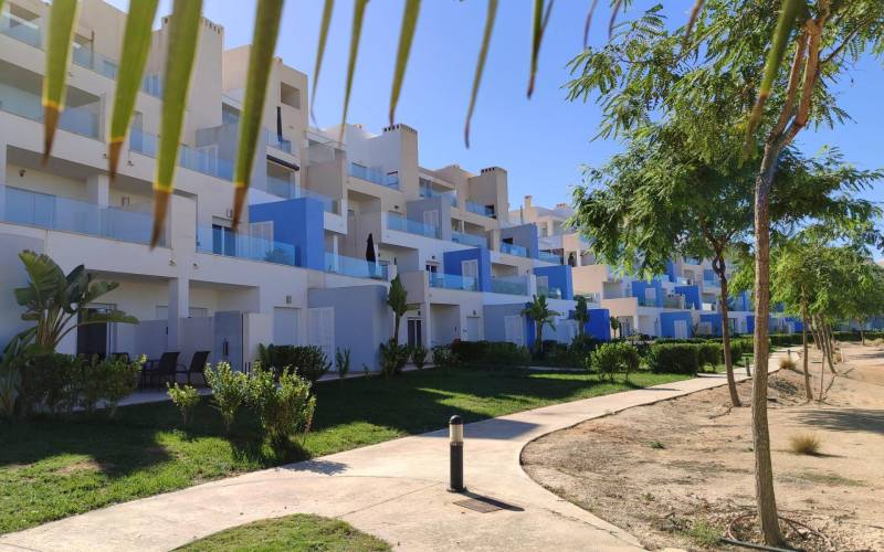 Apartamento - Vente - Las Terrazas de la Torre Golf - Torre - Pacheco