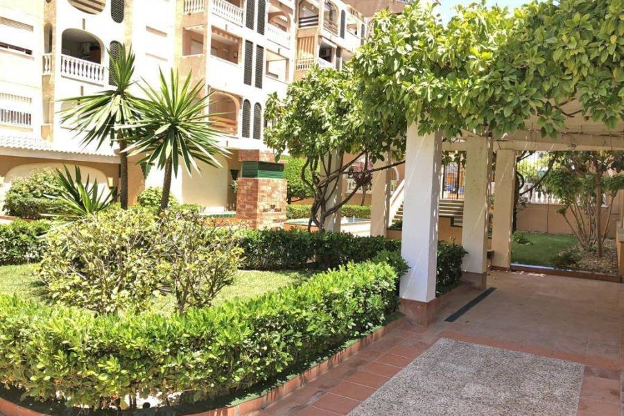 Sale - Apartment - Parque las naciones - Torrevieja