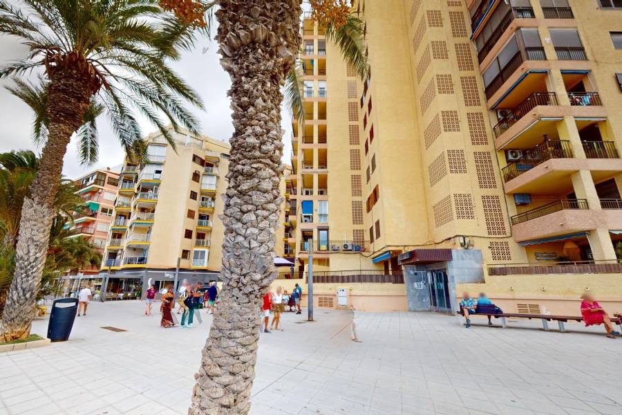 Vente - Appartement - Playa del cura - Torrevieja