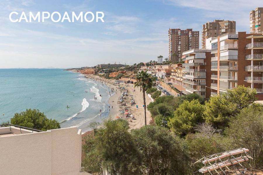 Venta - Quad - La Florida - Orihuela Costa