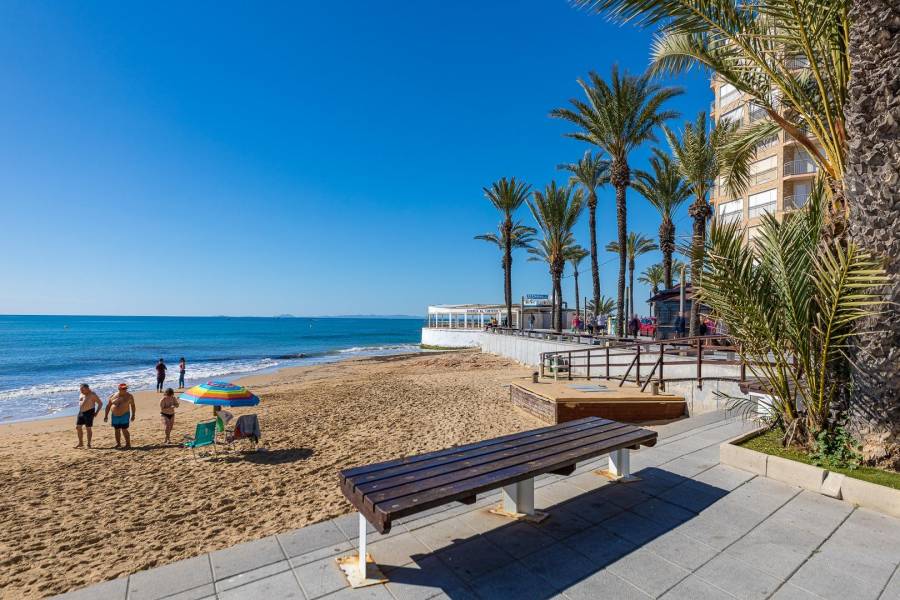 Vente - Studio - Centro - Torrevieja