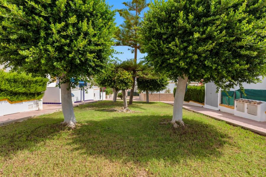 Sale - Terraced house - Los altos - Torrevieja