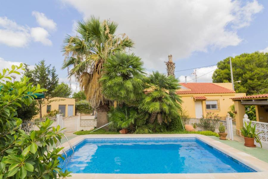 Vente - Maison - La Matanza - Orihuela