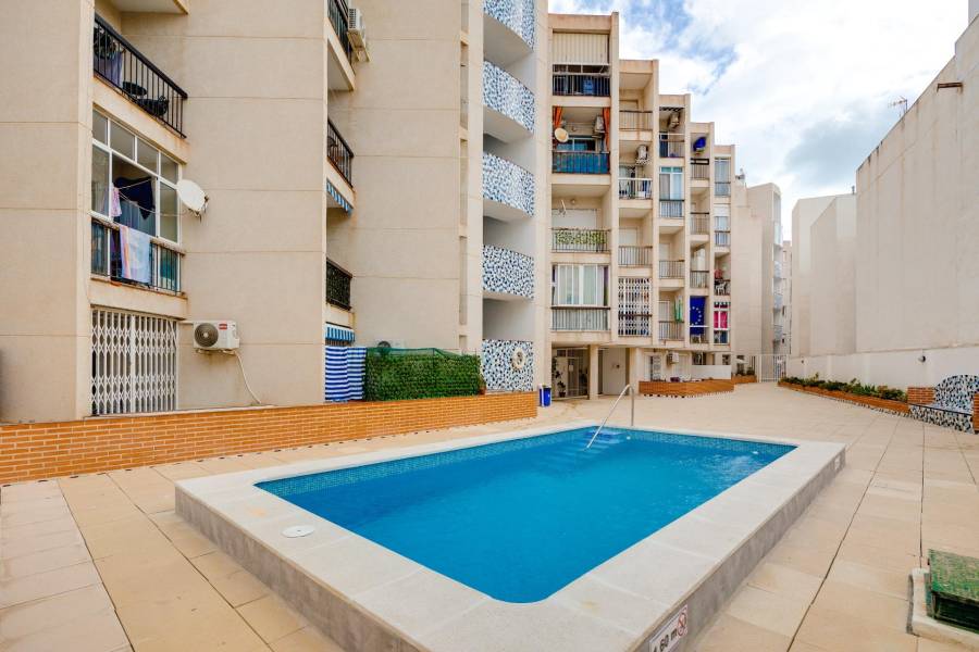 Venta - Estudio - Playa del cura - Torrevieja