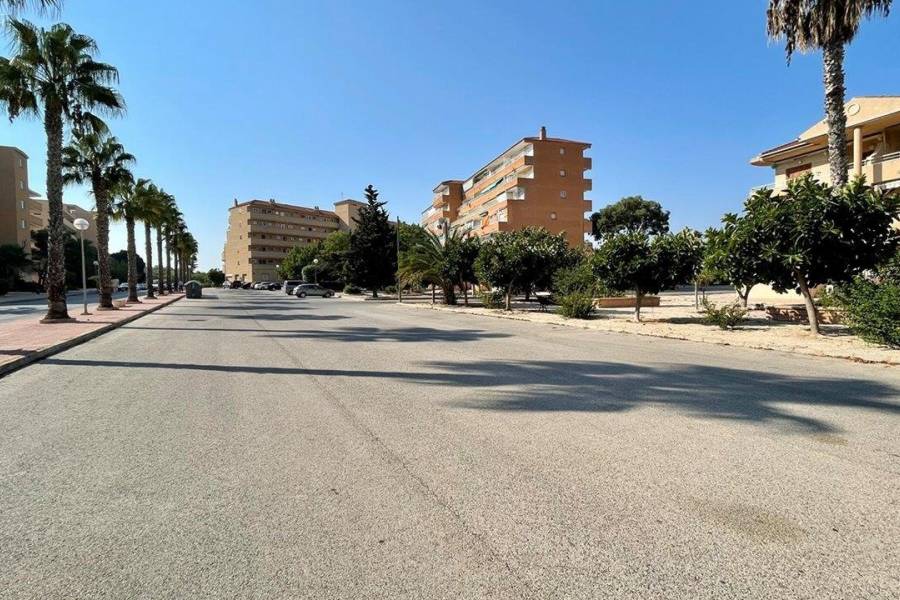 Vente - Appartement - Pinomar - Guardamar del Segura