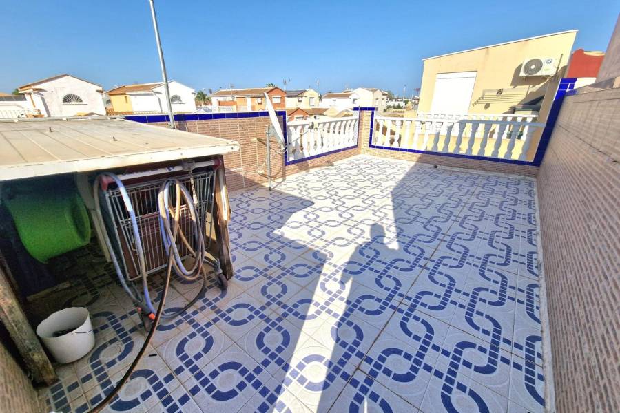 Sale - Single family house - Torreta florida - Torrevieja