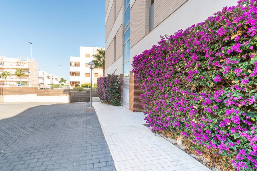 Sale - Apartment - Los Dolses - Orihuela Costa