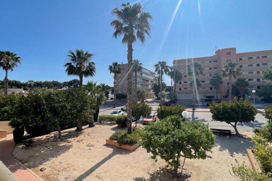 Venta - Apartamento - Pinomar - Guardamar del Segura