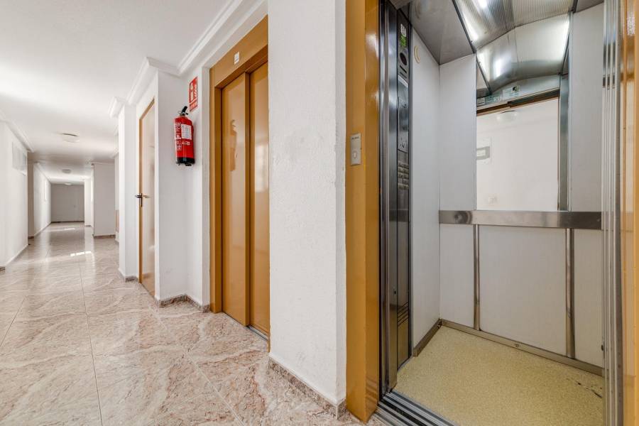 Sale - Penthouse - Centro - Torrevieja