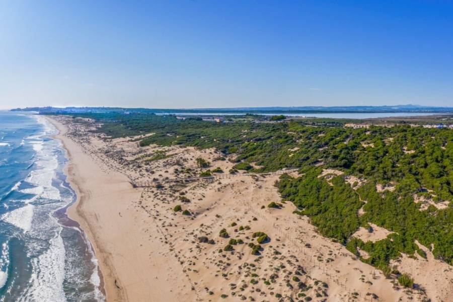 Venta - Apartamento - Pinomar - Guardamar del Segura