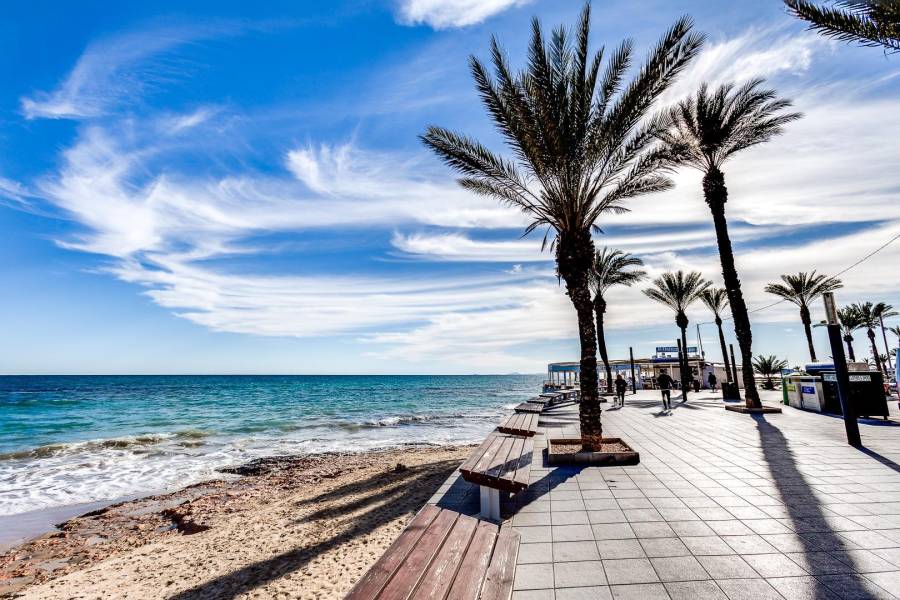 Vente - Appartement - Playa del cura - Torrevieja