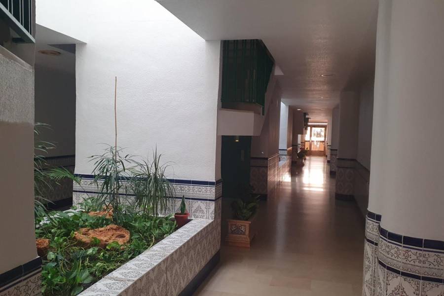 Sale - Apartment - Los secanos - Guardamar del Segura