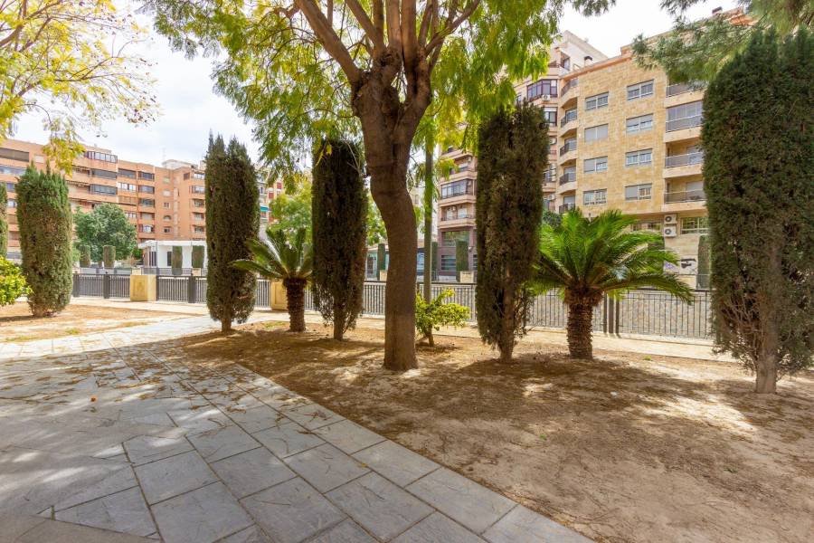 Venta - Piso - Zona Centro - Orihuela