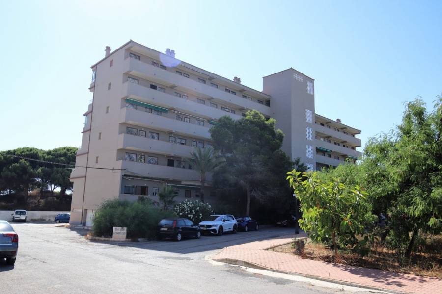 Venta - Apartamento - Pinomar - Guardamar del Segura