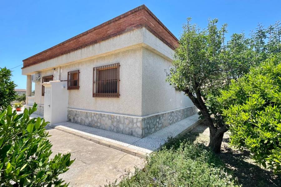 Rental - House with land - La cruz - Redovan