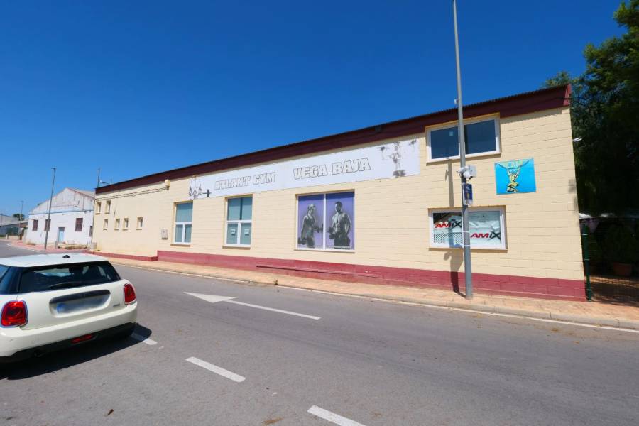 Vente - Bâtiment industriel - Almoradí - Almoradi