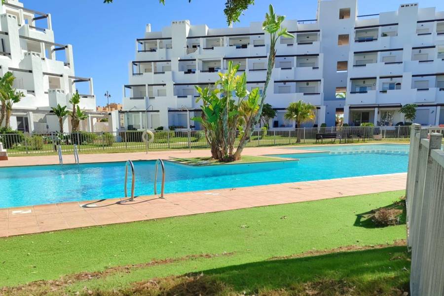 Vente - Appartement - Las Terrazas de la Torre Golf - Torre - Pacheco