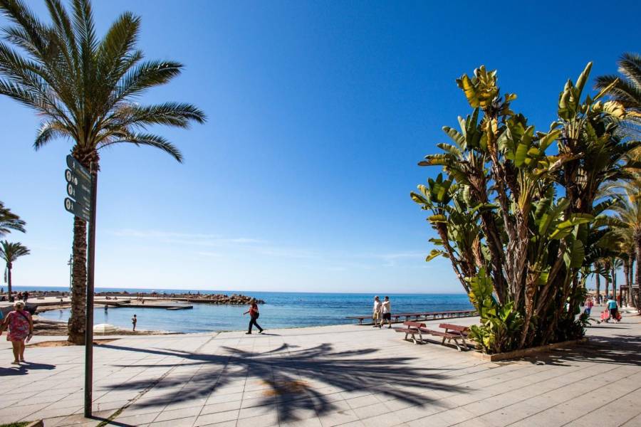 Sale - Apartment - Playa de los locos - Torrevieja