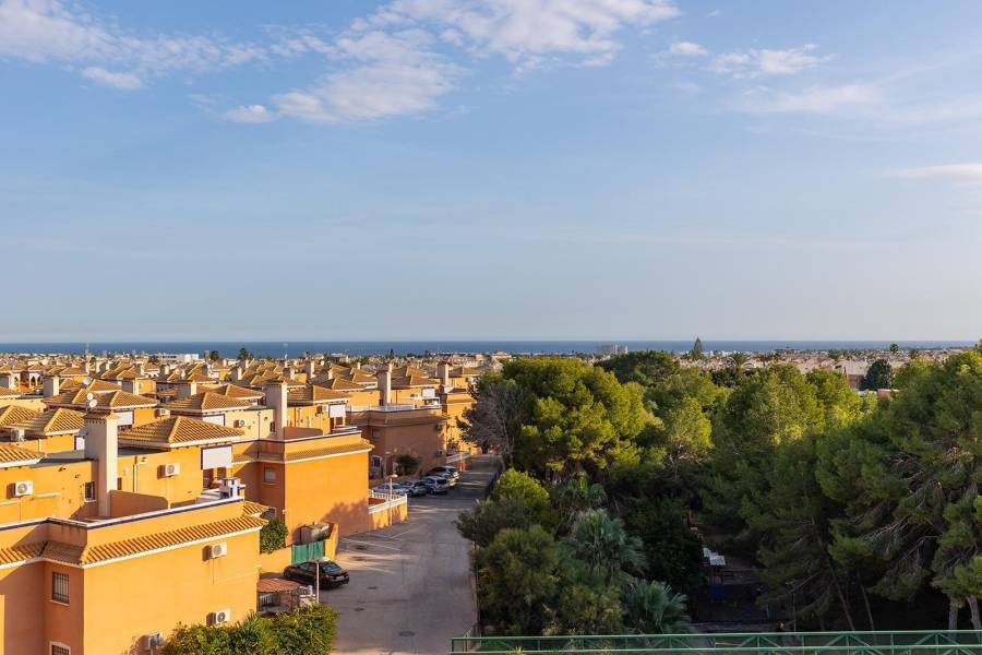 Sale - Penthouse - Playa Flamenca - Orihuela Costa