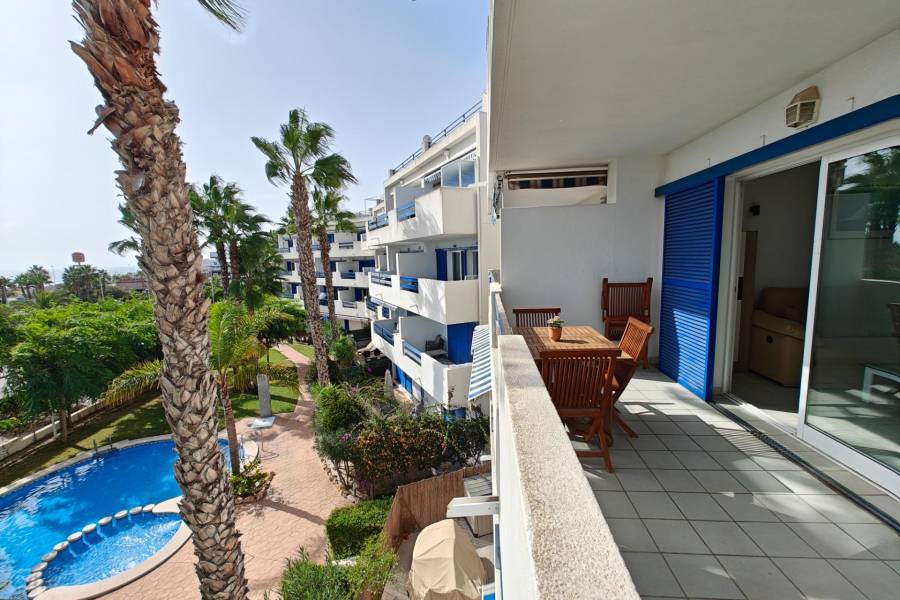 Vente - Appartement - Playa Flamenca - Orihuela Costa