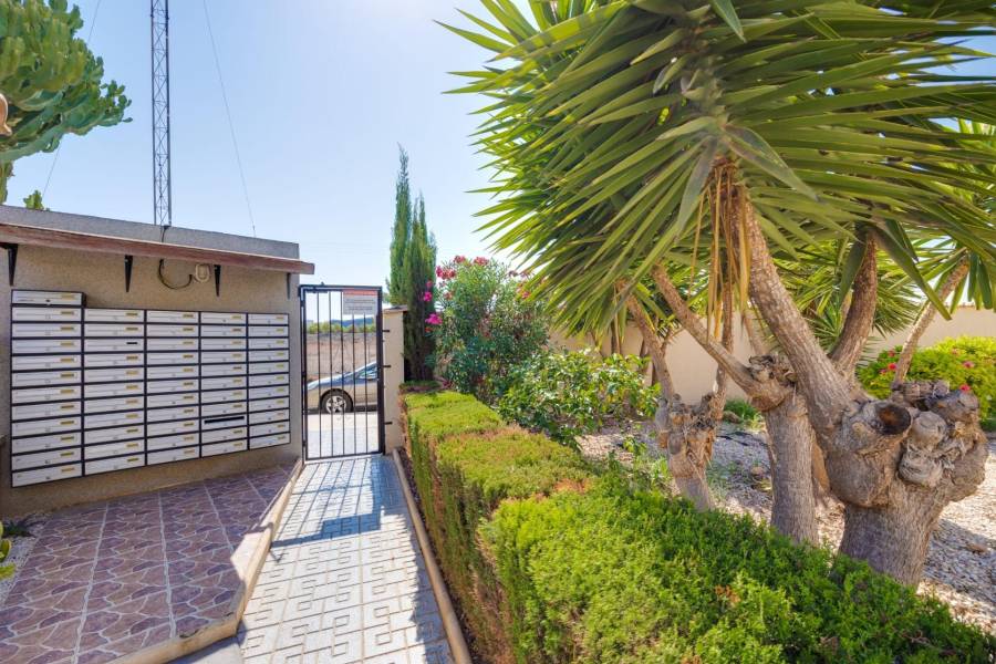 Sale - Terraced house - Playa Flamenca Norte - Orihuela Costa