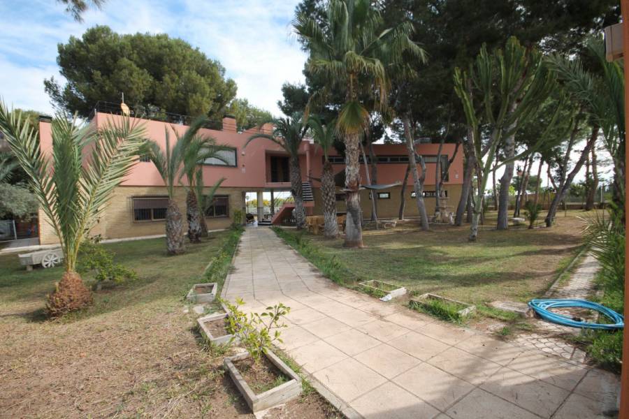 Vente - Maison - Los balcones - Torrevieja