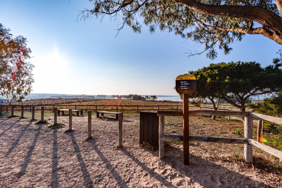 Vente - Maison mitoyenne - La siesta - Torrevieja