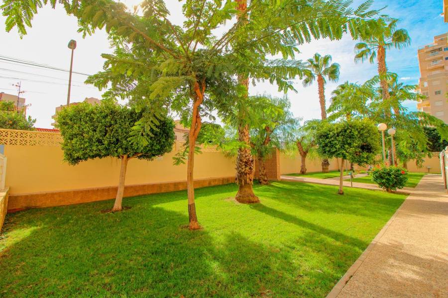 Sale - Apartment - Nueva Torrevieja - Torrevieja