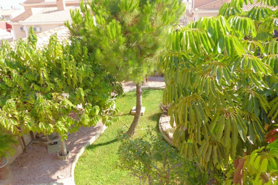 Vente - Maison individuelle - Aguas nuevas 2 - Torrevieja