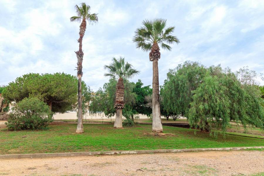 Sale - Bungalow Ground Floor - Torreblanca - Torrevieja