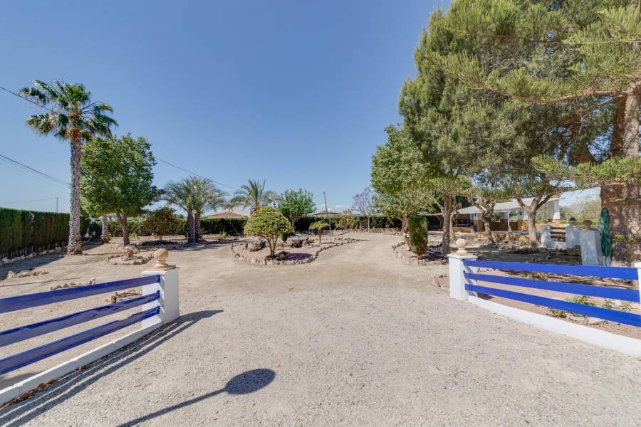 Vente - Maison individuelle - Correntías Bajas - Orihuela