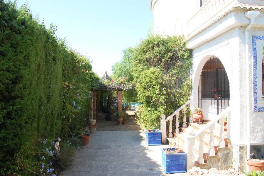 Vente - Maison individuelle - San luis - Torrevieja