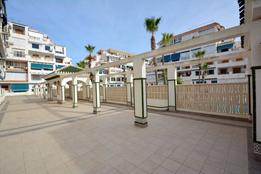 Vente - Appartement - La Mata - Torrevieja