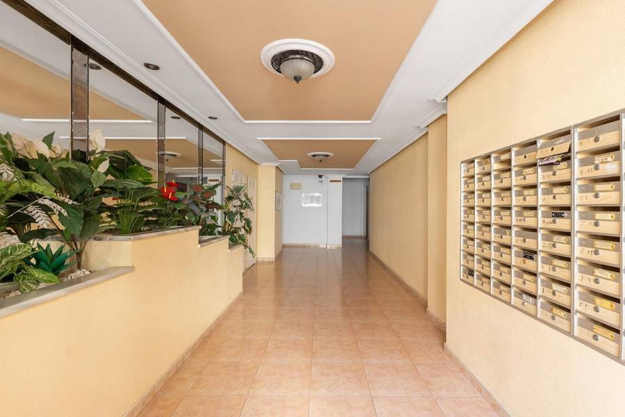 Venta - Apartamento - torrevieja - Torrevieja