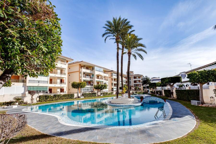 Sale - Apartment - La Mata - Torrevieja