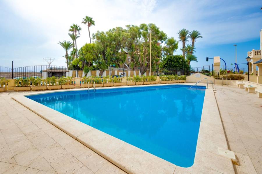 Sale - Apartment - Los Frutales - Torrevieja