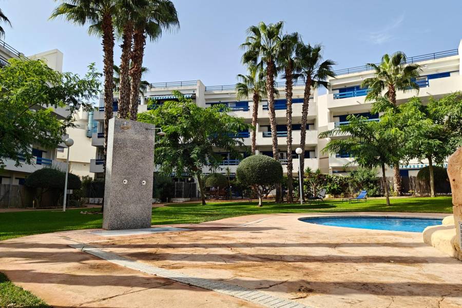 Vente - Appartement - Playa Flamenca - Orihuela Costa