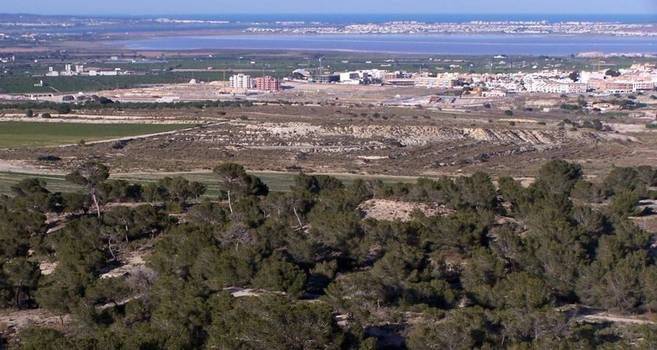 Sale - Flat - CENTRO CIUDAD - San Miguel de Salinas