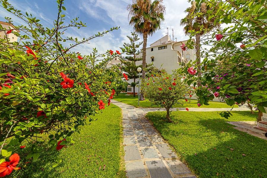 Vente - Maison de campagne - Calas blanca - Torrevieja