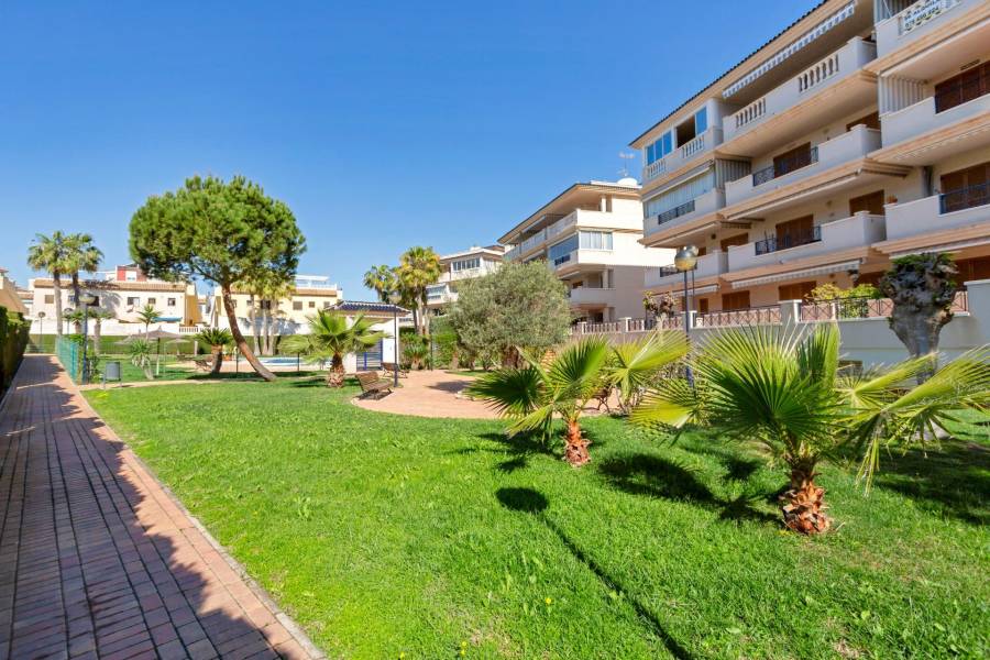 Venta - Apartamento - La Mata - Torrevieja